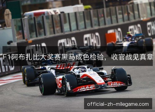 F1阿布扎比大奖赛黑马成色检验,收官战见真章 F1阿布扎比大奖赛黑马成色检验,收官战见真章
